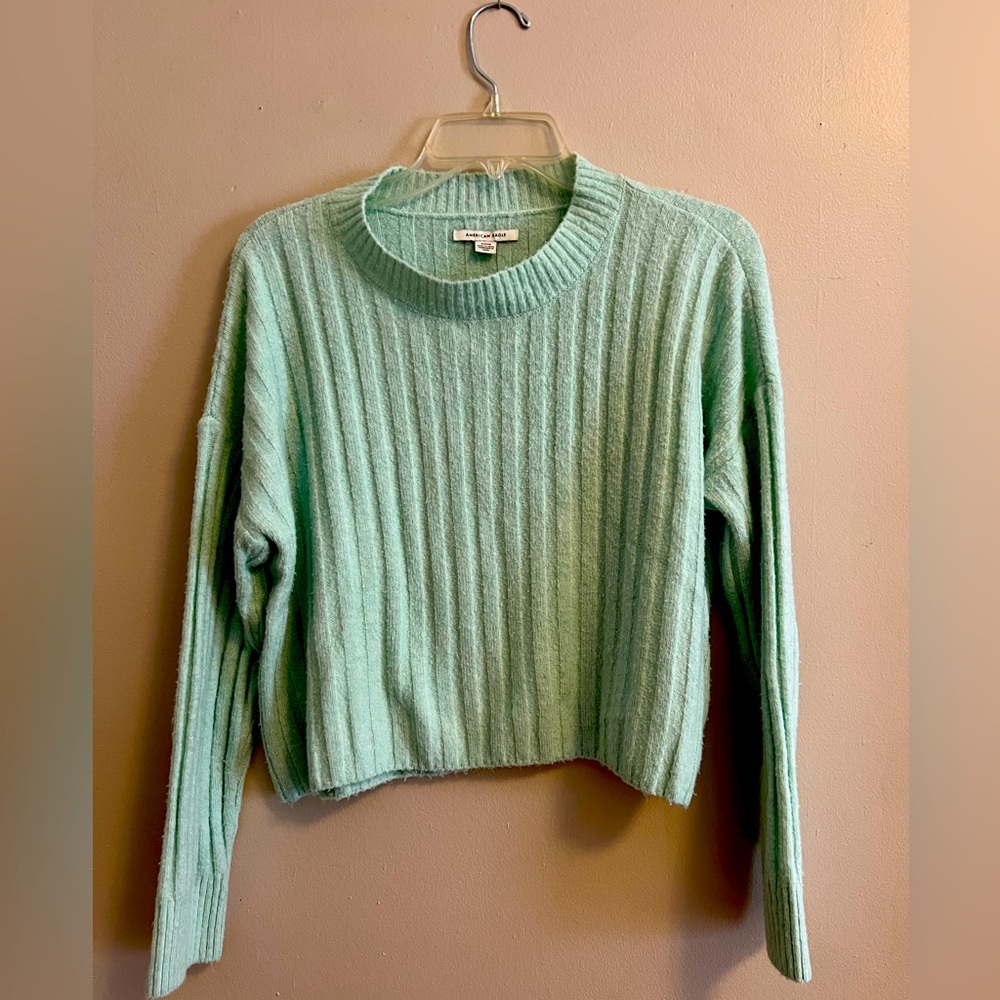 AE Cropped Knit Sweater in Mint Green